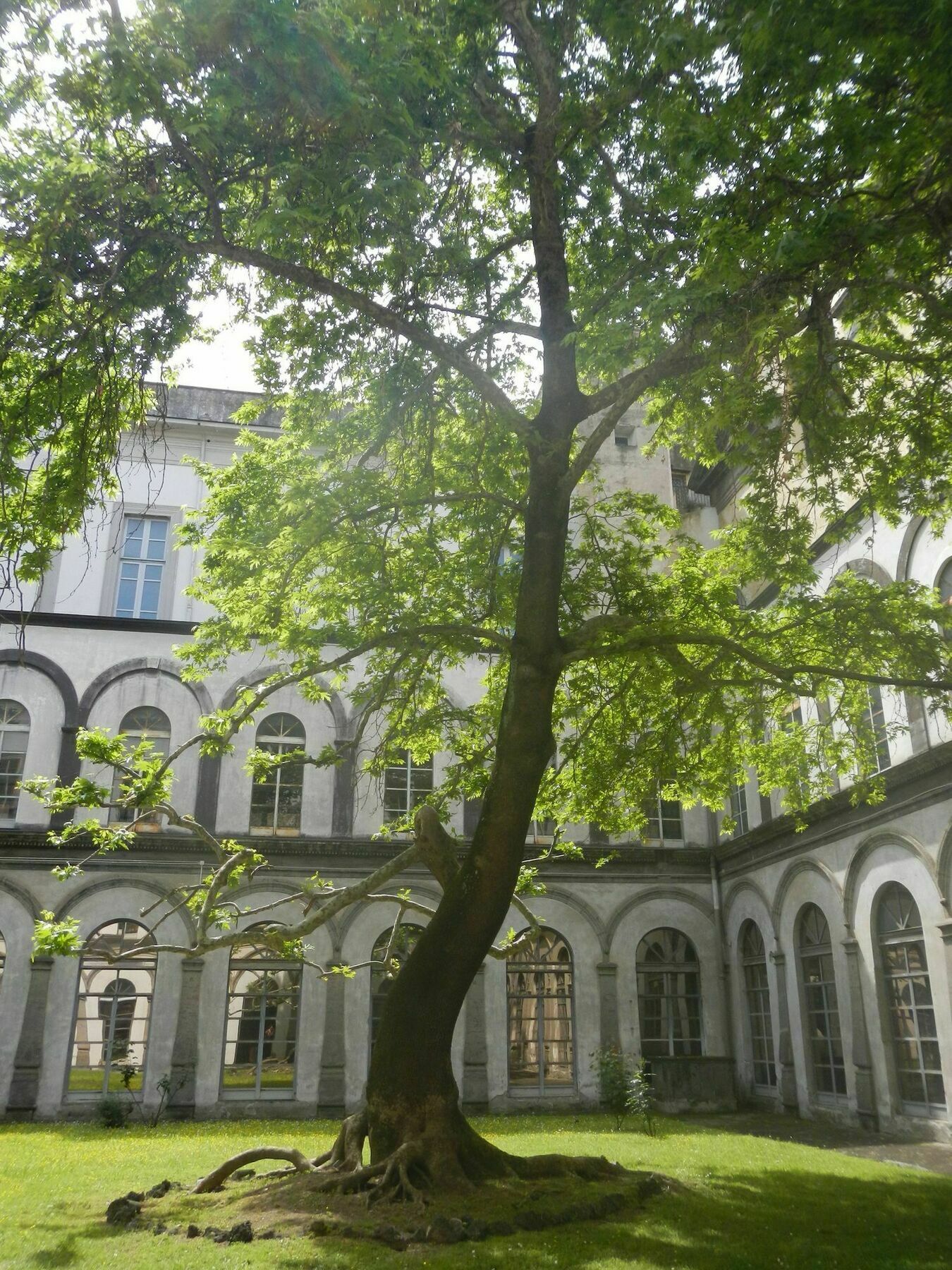 Gasthof Meuble Santa Chiara